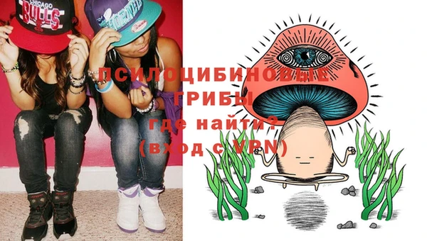 ГАЛЛЮЦИНОГЕННЫЕ ГРИБЫ Аркадак